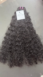 Burmese Curls