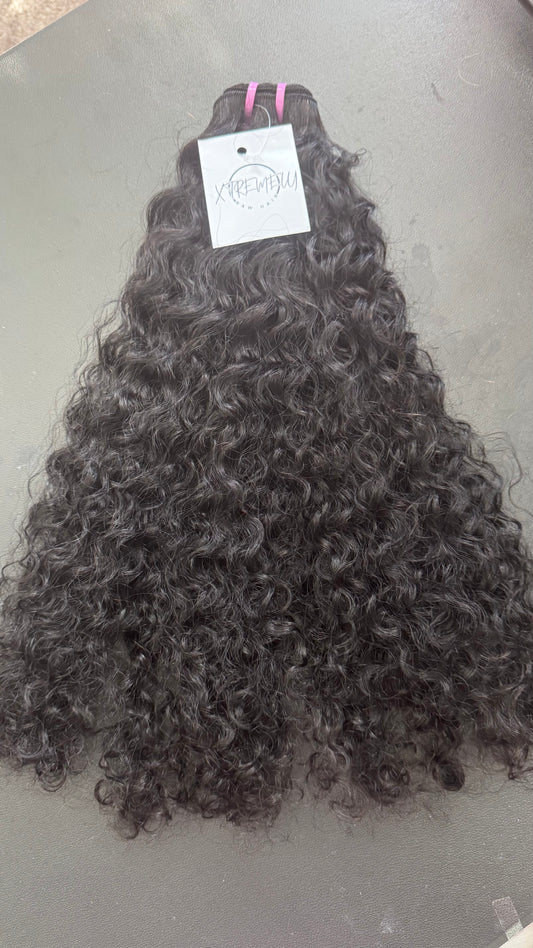 Burmese Curls